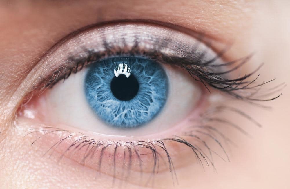 Ophthalmology Practice in New Jersey